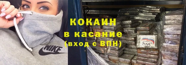 крисы Липки