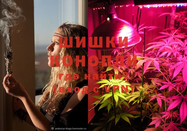 крисы Липки
