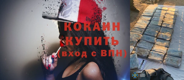 тгк Лиски