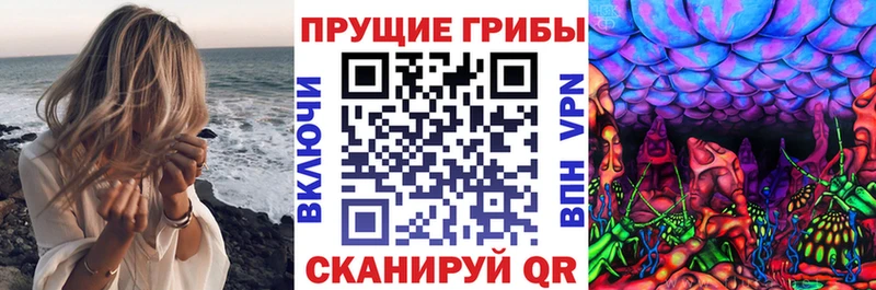 купить наркотик  Волчанск  Псилоцибиновые грибы MAGIC MUSHROOMS 